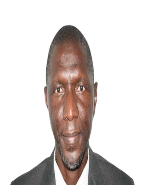 Lamin S Jatta